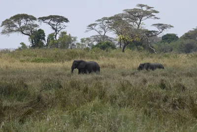 DSC_3603 (Large).JPG